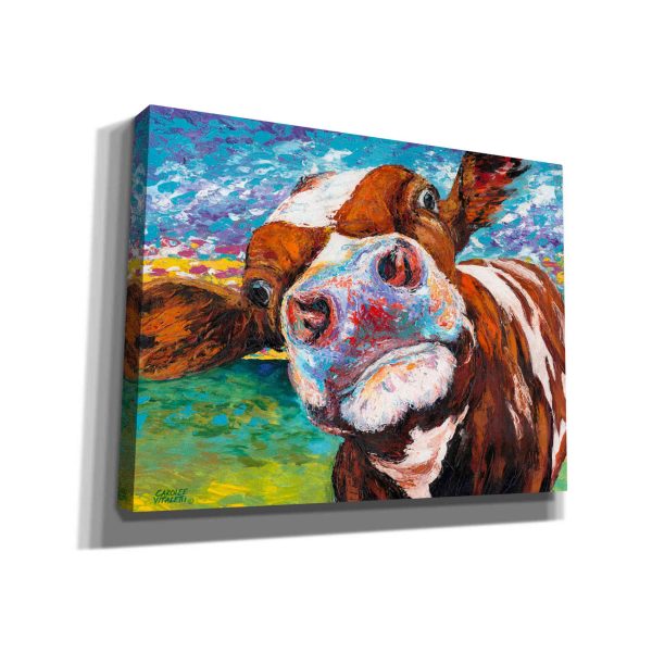 Curious Cow I  by Carolee Vitaletti Giclee Canvas Wall Art Online now