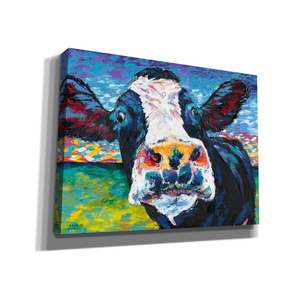 Curious Cow II  by Carolee Vitaletti Giclee Canvas Wall Art Discount