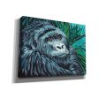 Jungle Monkey II  by Carolee Vitaletti Giclee Canvas Wall Art Discount