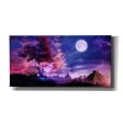 A Place for Fairy Tales  by Cameron Gray, Canvas Wall Art Online