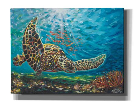 Deep Sea Swimming I  by Carolee Vitaletti Giclee Canvas Wall Art Online Hot Sale