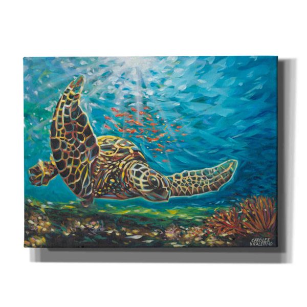 Deep Sea Swimming I  by Carolee Vitaletti Giclee Canvas Wall Art Online Hot Sale