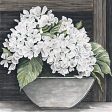 CIN3688 - Hydrangea Pot - 12x12 Sale