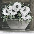 CIN3689 - Poppies Planter - 12x12 Online now