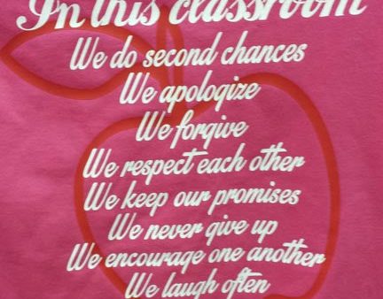 Teacher t-shirt Hot Pink Classroom gift Cheap